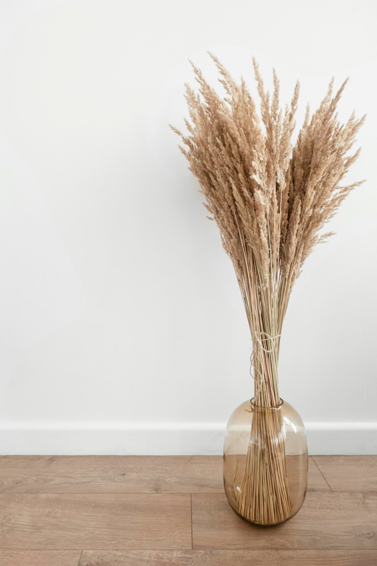Vase mit Trockengräsern auf Holzboden